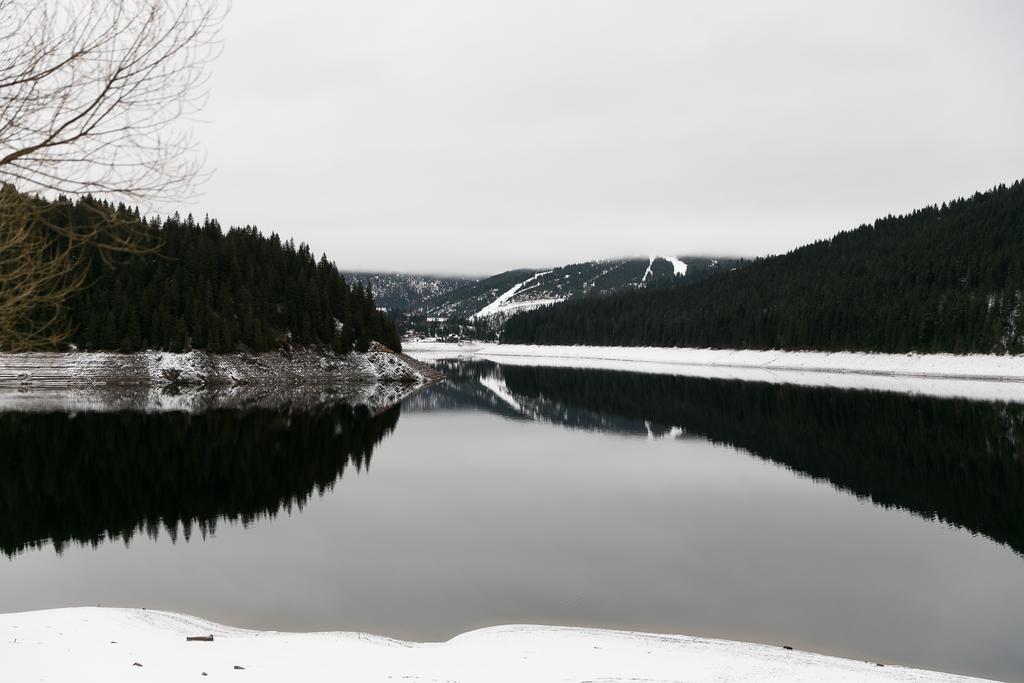 Panorama Apuseni Beliş Exterior foto